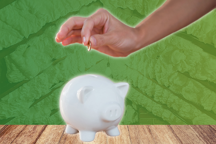 How Much Savings Can Be Achieved in Energy Bills